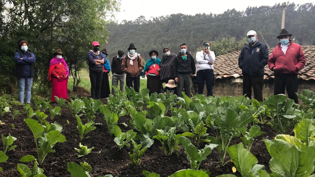 Comunidades de Riobamba y Guaranda intercambian experiencias en DHIS y producción agroecológica