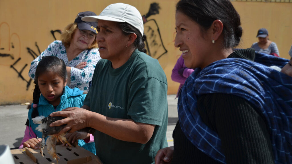 3200 mujeres se benefician e impulsan las microfinanzas solidarias en Latacunga