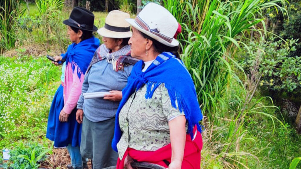Loja: 31 familias de la Parroquia Chantaco cuentan con nuevo sistema de riego tecnificado